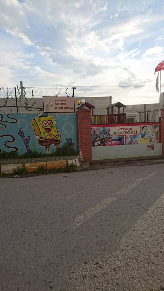 Özel Pendik Petunya Anaokulu