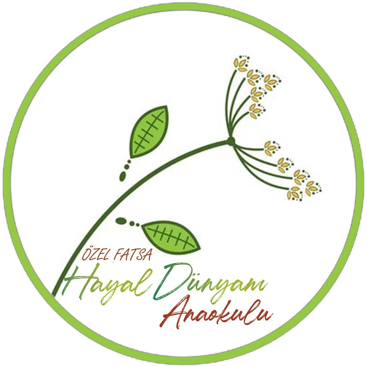 Özel Fatsa Hayal Dünyam Anaokulu