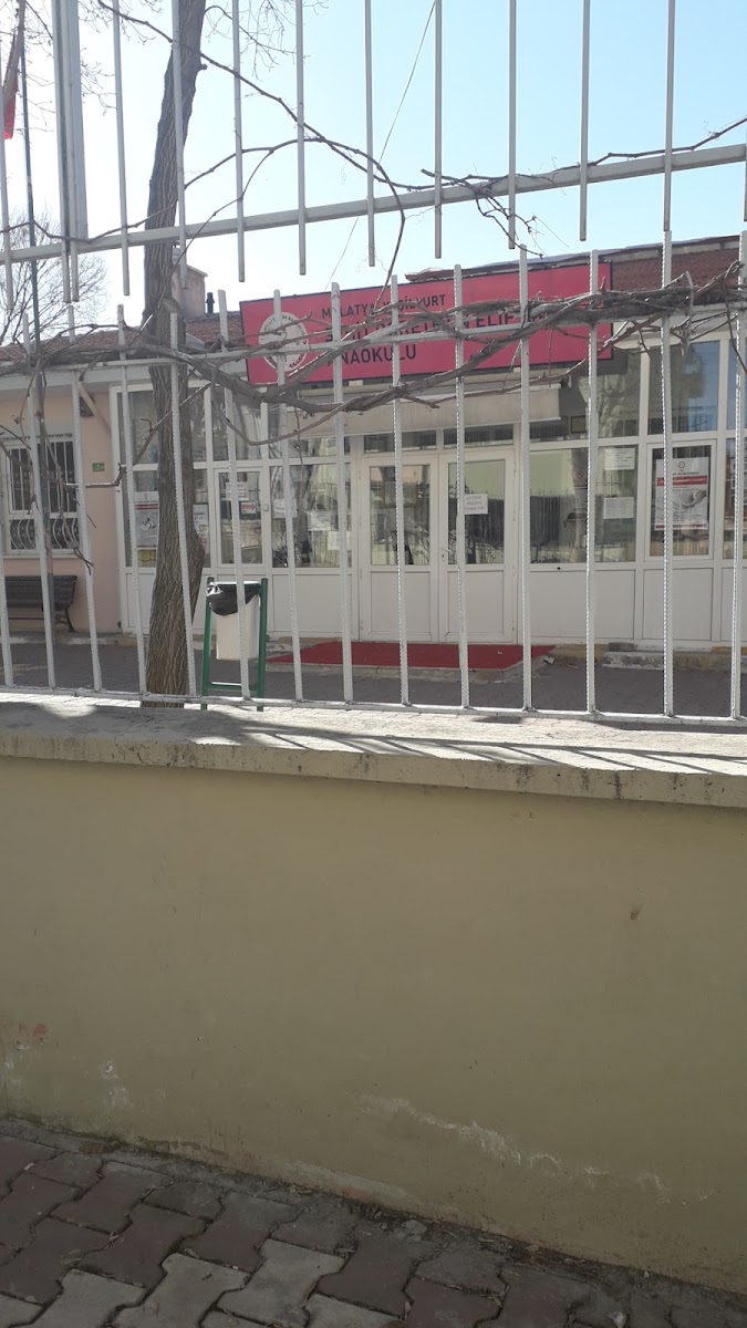 ŞEHİT ELİF LİVAN ANAOKULU