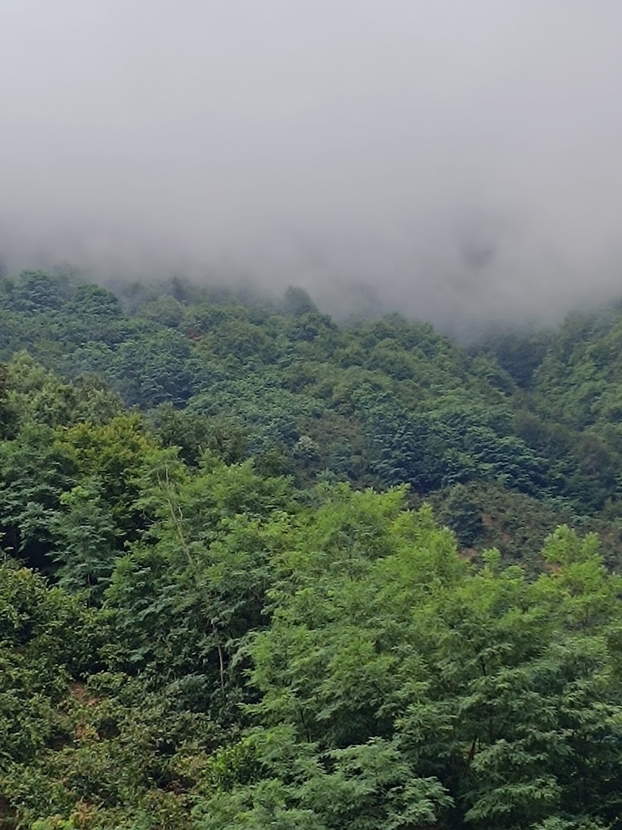 ORDU 4 MEVSİM KREŞ VE GÜNDÜZ BAKIMEVİ