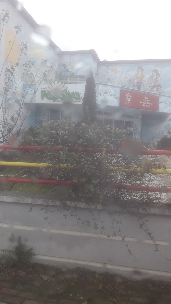 Özel papatya kreş