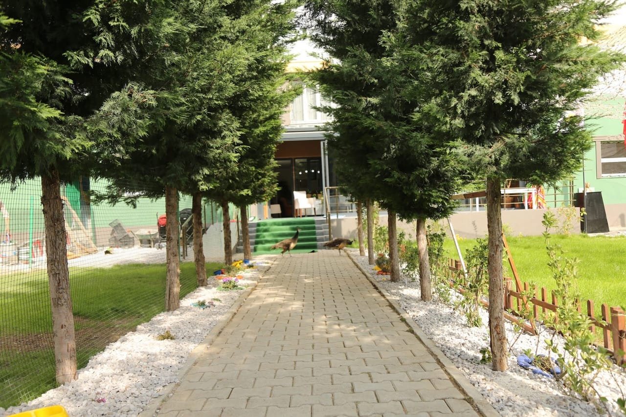 Van Montessori Anaokulu