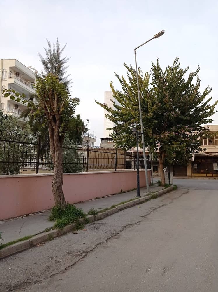 Mersin Akdeniz Şehit Firat Palamut Anaokulu